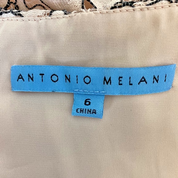 ANTONIO MELANI ☆ Emma Pink Two-Tone Lace Overlay Sleeveless Dress - Picture 7 of 7